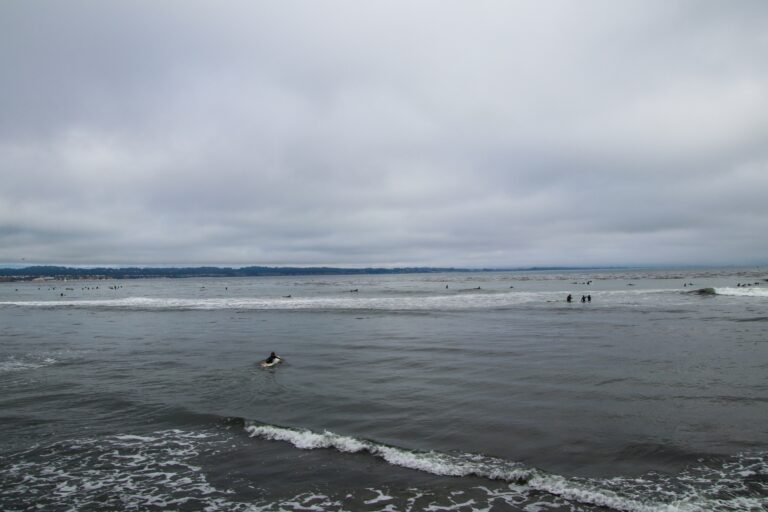 Investigating the Causes of Santa Cruz Wharf Collapse